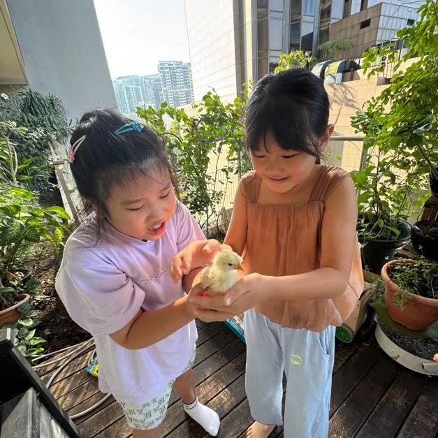 Children holding a baby chick during outdoor nature activity at Haoxue camp