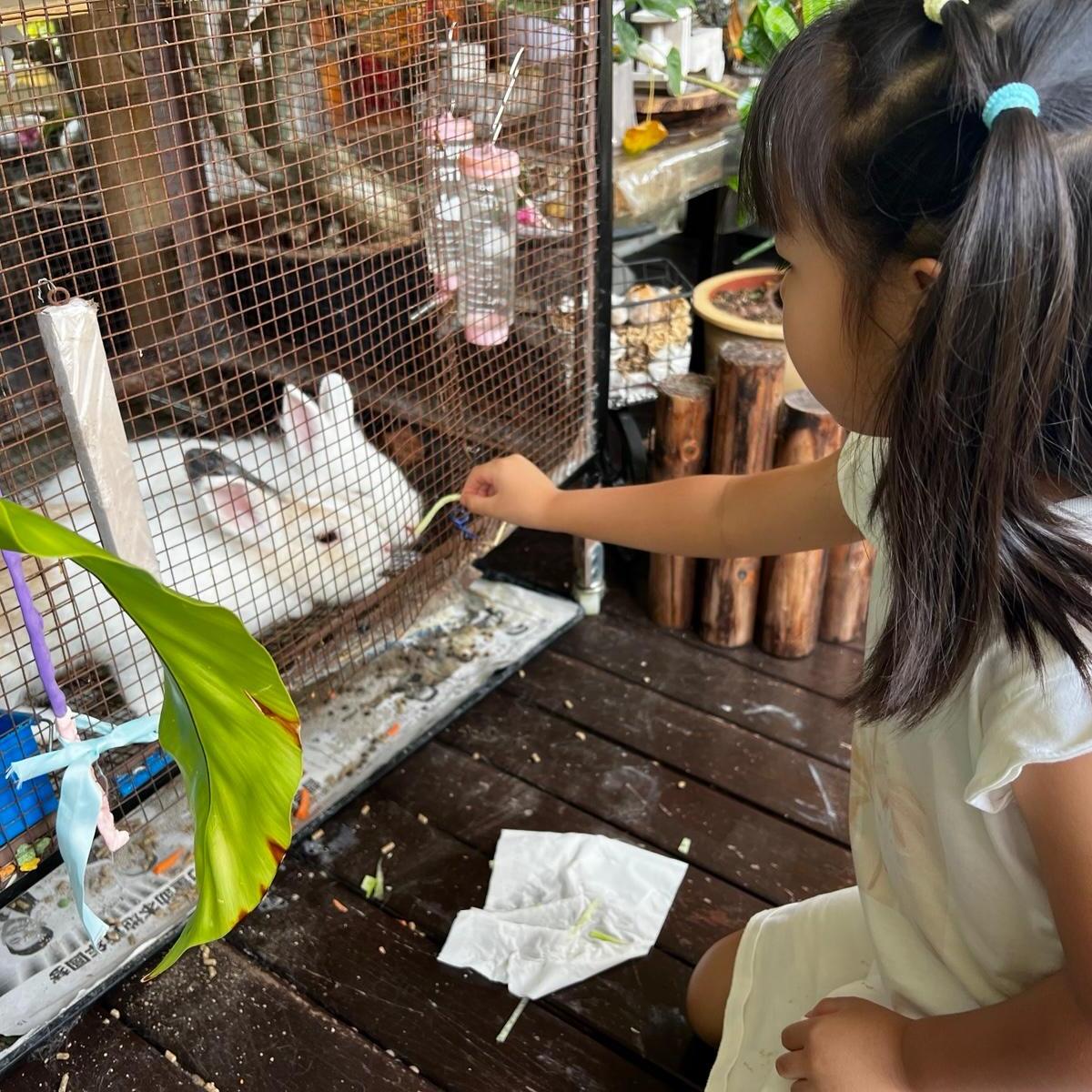 Child feeding a rabbit during animal care activity at Haoxue camp